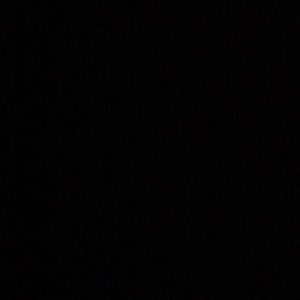 Meet your Posher, Max